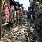 Water and Environmental Sanitation